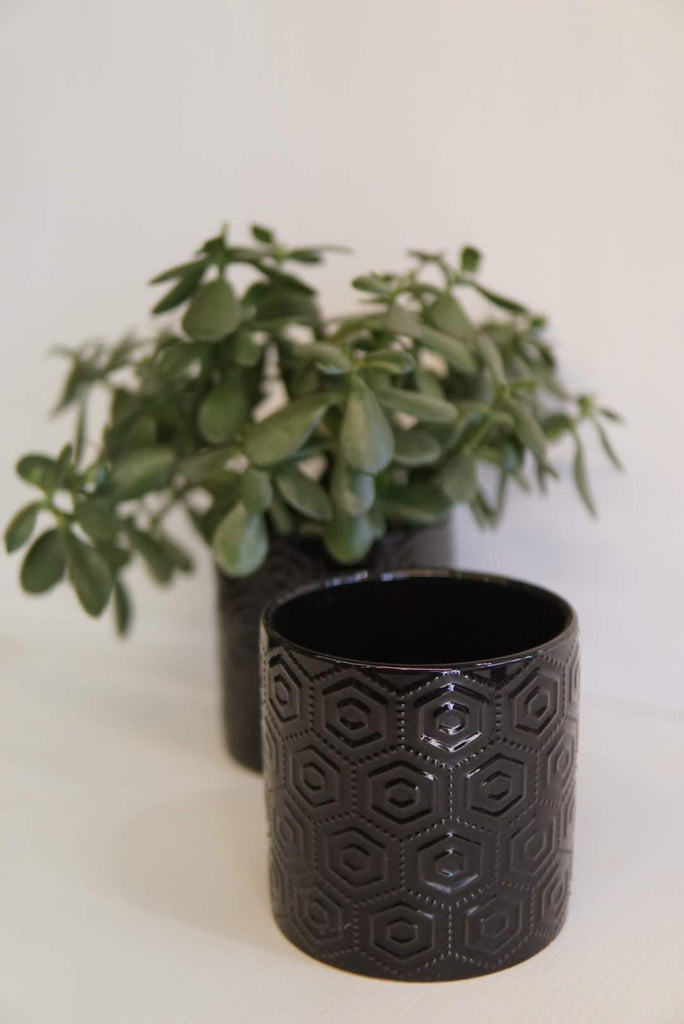 Large Black Pot