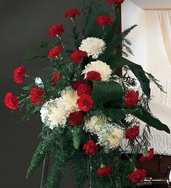 Easel Spray Carnations and Mums - Beaudry Flowers