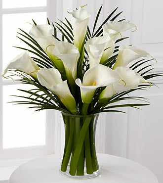 Endless Elegance Calla Lily Bouquet - VASE INCLUDED - Beaudry Flowers
