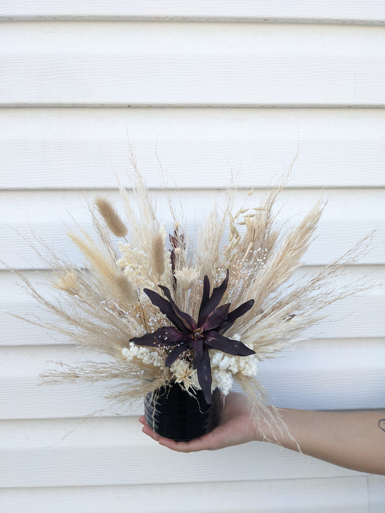 Mini Leucadendron Dried Arrangement