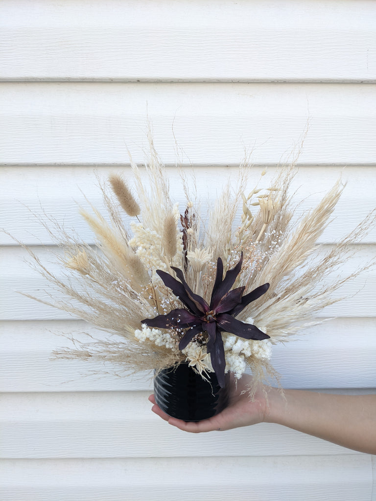 Mini Leucadendron Dried Arrangement