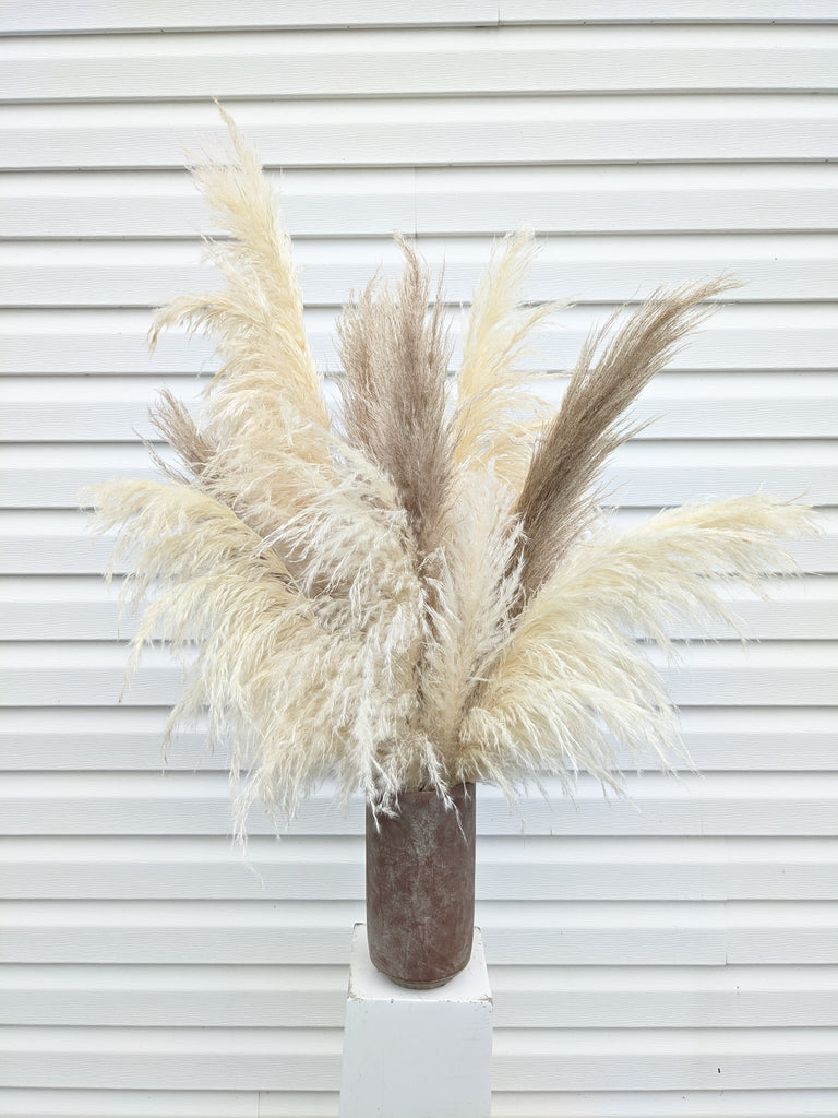 Terra Pampas Arrangement