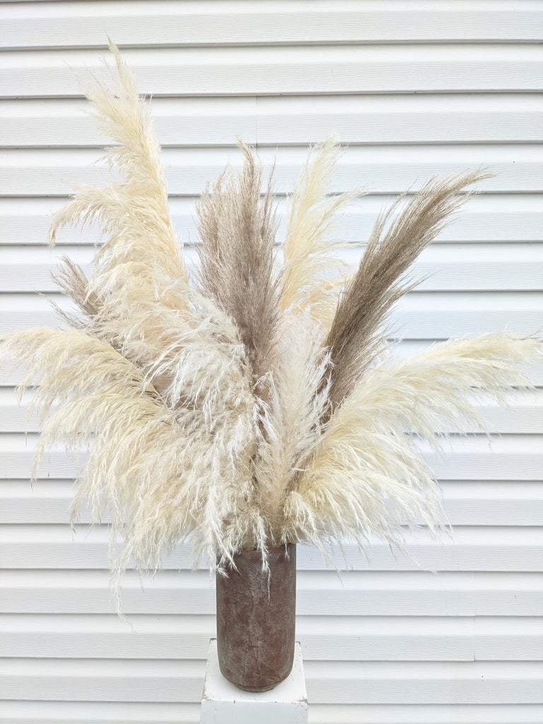 Terra Pampas Arrangement