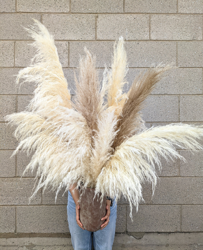 Terra Pampas Arrangement