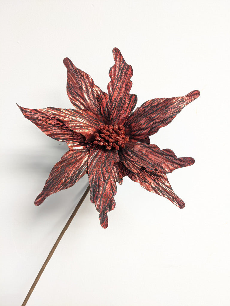 Decorative Marvel Poinsettia (Red + Black)