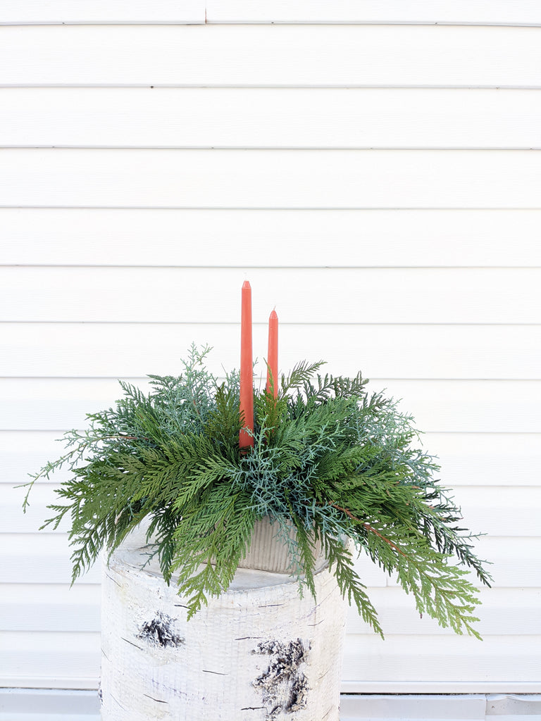 Winter Evergreen Terra Centrepiece