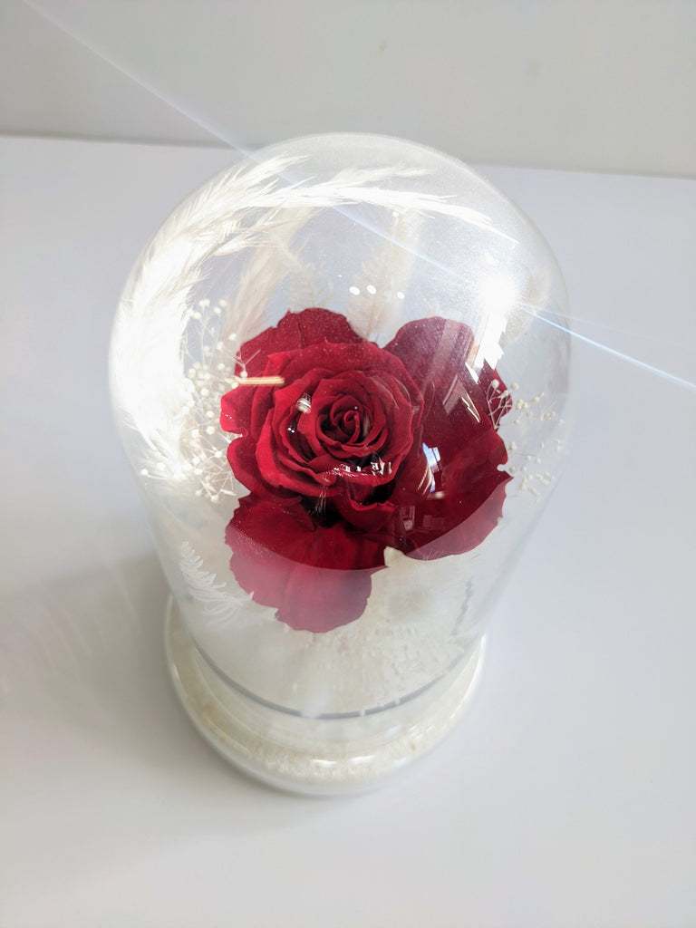 Belle's Dried Flower Dome