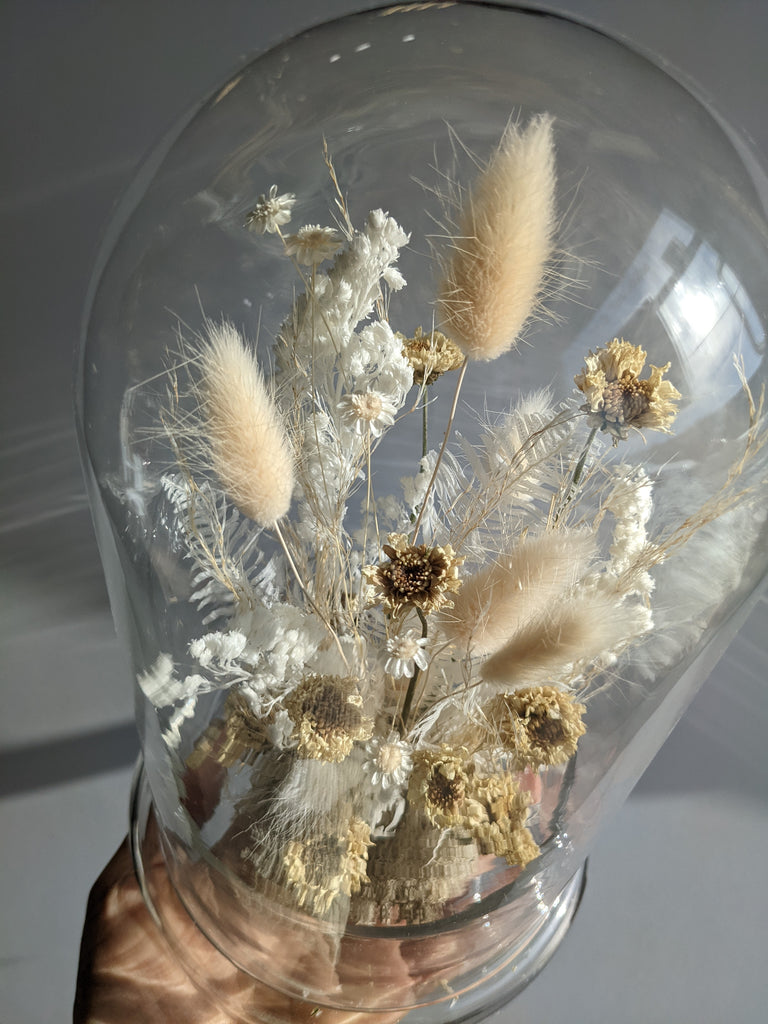 The Dainty Dried Flower Dome