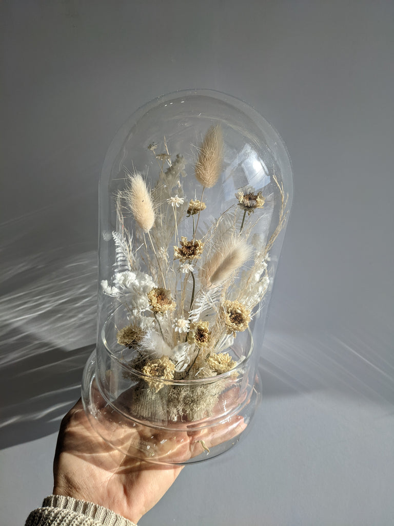 The Dainty Dried Flower Dome