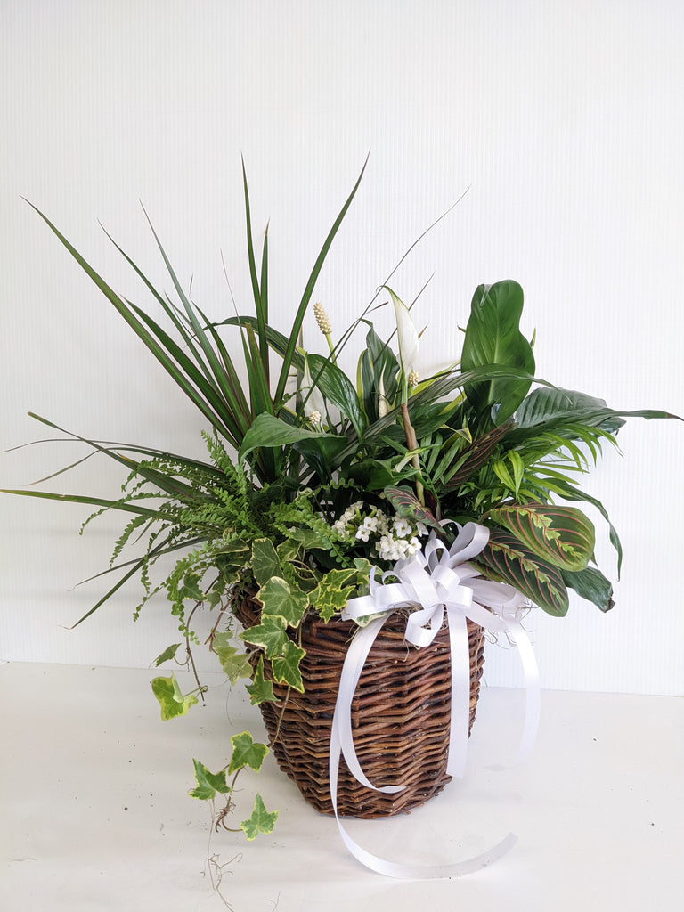 Country Dishgarden Planter