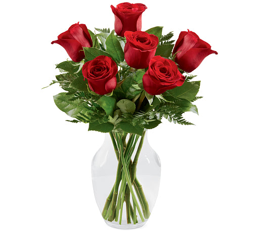 Half Dozen Red Rose Vase Arrangement