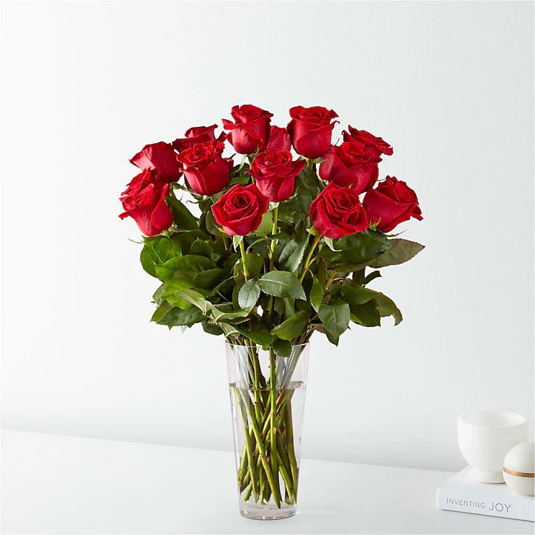 Classic Red Roses