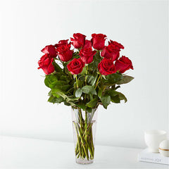 Classic Red Roses