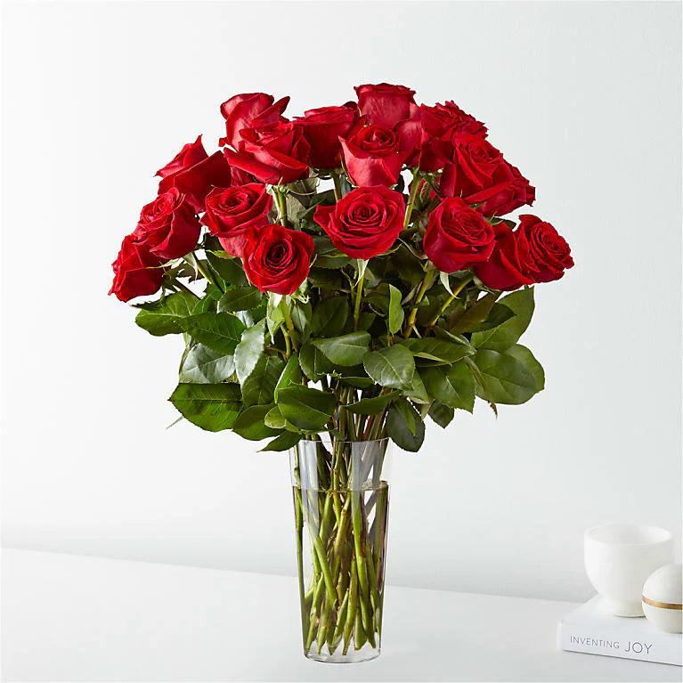 Classic Red Roses