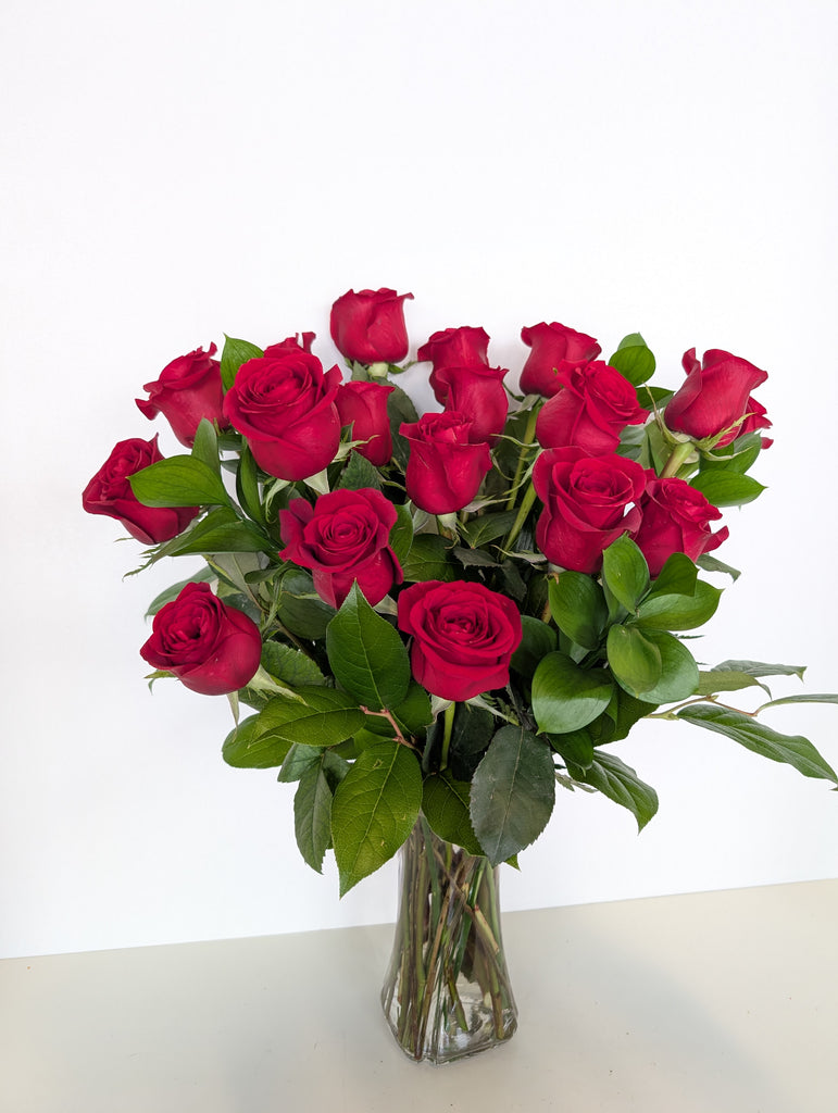 Classic Red Roses