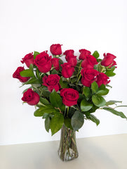 Classic Red Roses