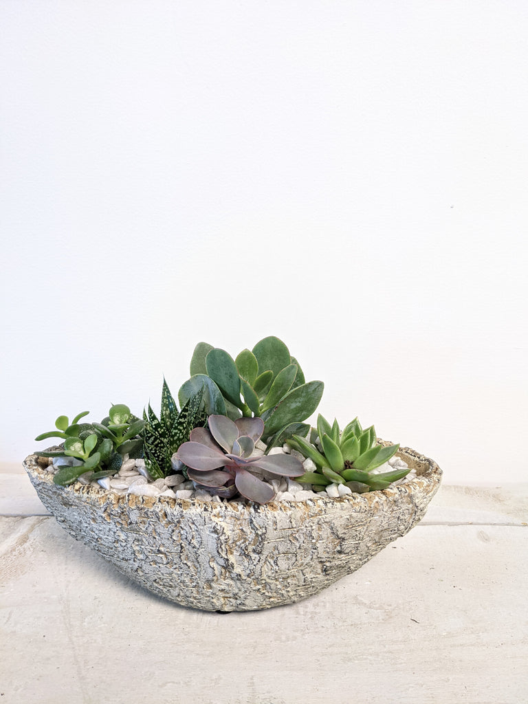 succulent boat Rubble Succulent Boat – Beaudry Flowers