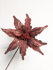 Decorative Marvel Poinsettia (Red + Black)