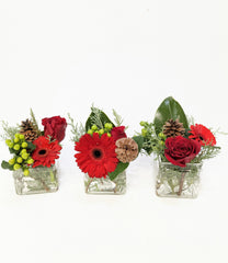 Set of 3 Small Holiday Arrangements