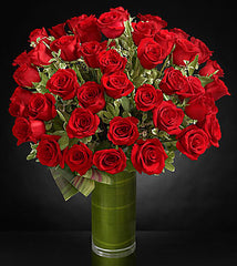 Fate Luxury Rose Bouquet - 48 stems - Beaudry Flowers